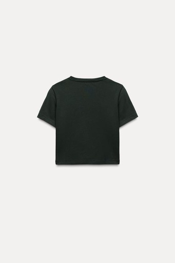 [0011] T-shirt moon